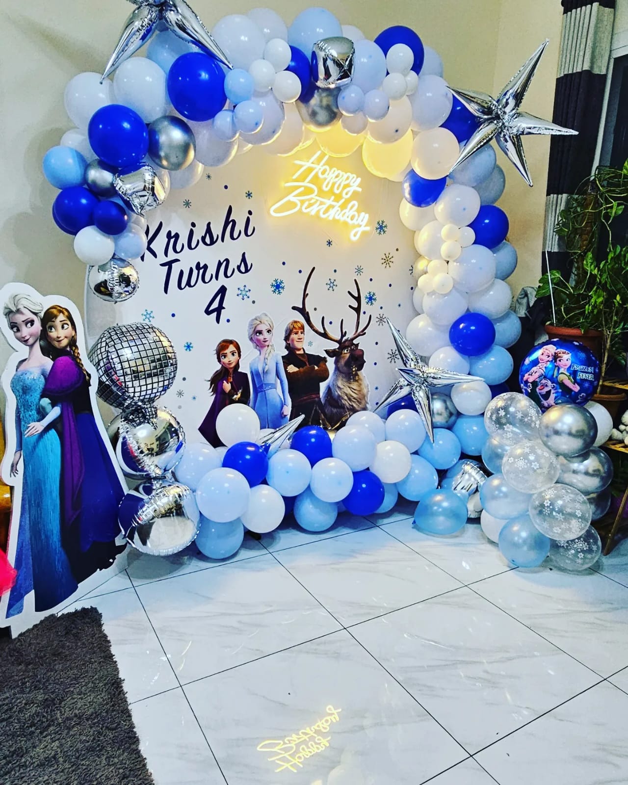 Frozen Decor Theme